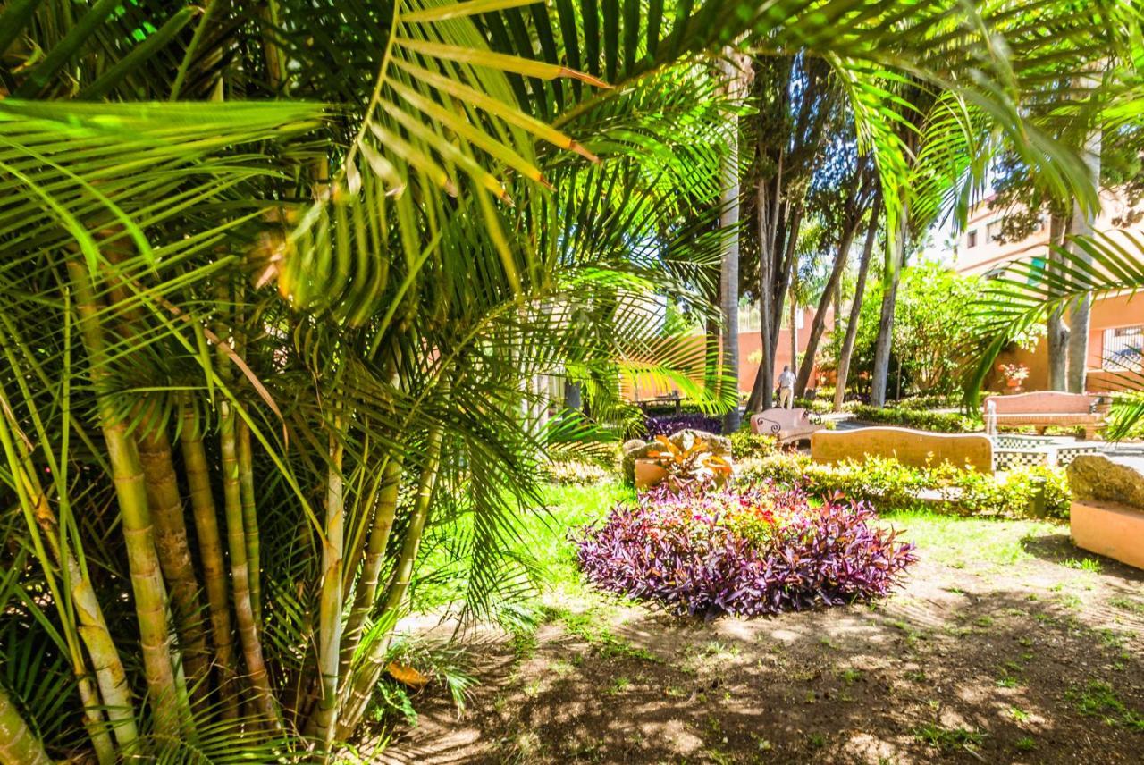 Hostal Tropical Almuñécar المظهر الخارجي الصورة